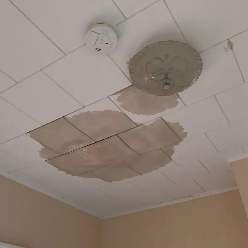 Ceiling Water Damage Repair in Oak Park Heights, MN