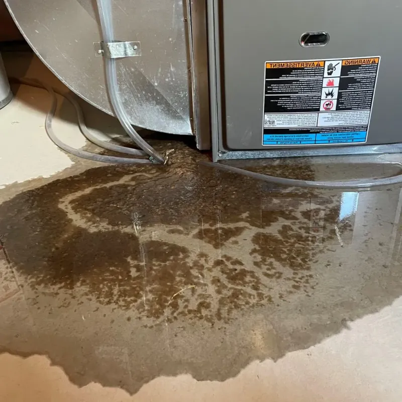 Pipe Burst and Leak Restoration in Oak Park Heights, MN