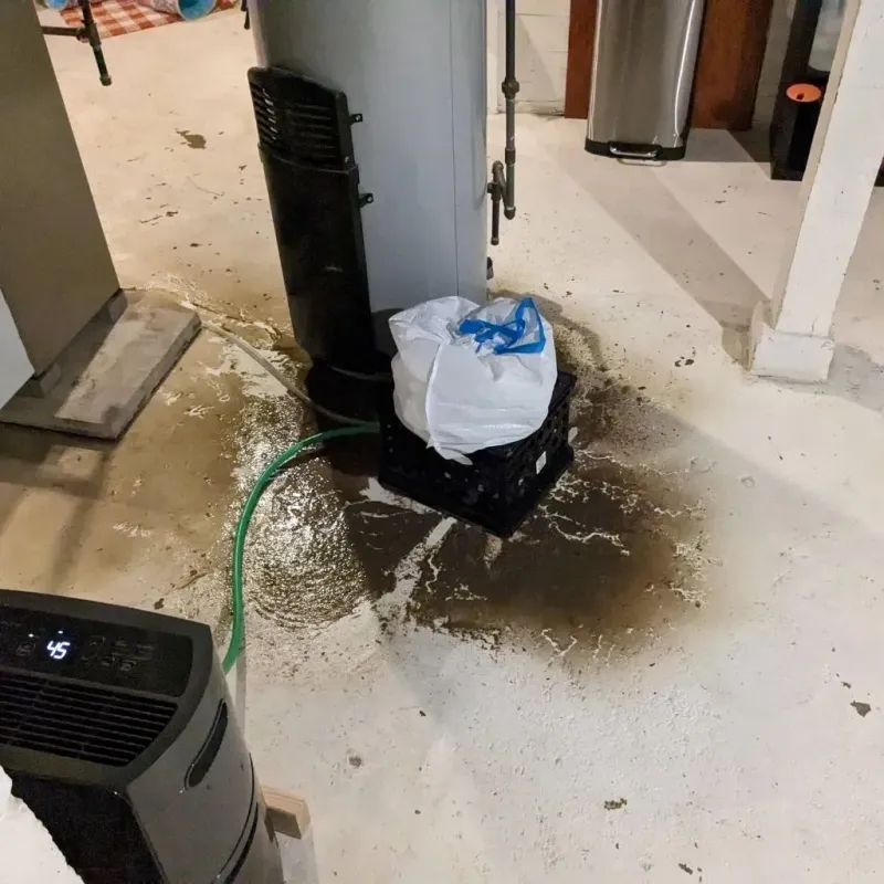 Sewage Backup Cleanup Service in Oak Park Heights, MN
